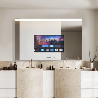 Ascent Mirror TV - WL01 Series