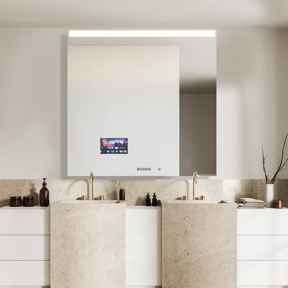 Ascent Mirror TV - WL01 Series