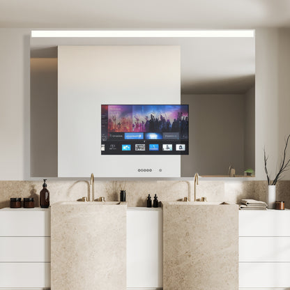 Ascent Mirror TV - WL01 Series