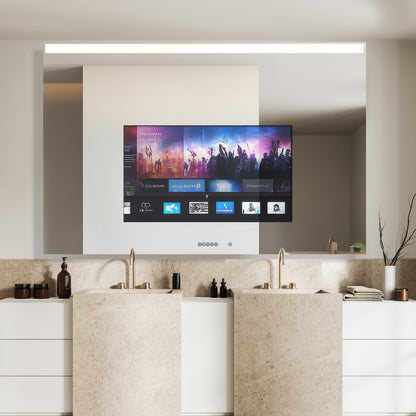 Ascent Mirror TV - WL01 Series