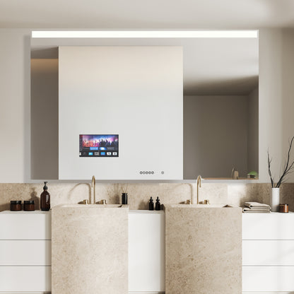 Ascent Mirror TV - WL01 Series